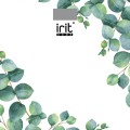 Весы напольные IRIT IR-7273 (Код: УТ000019449)